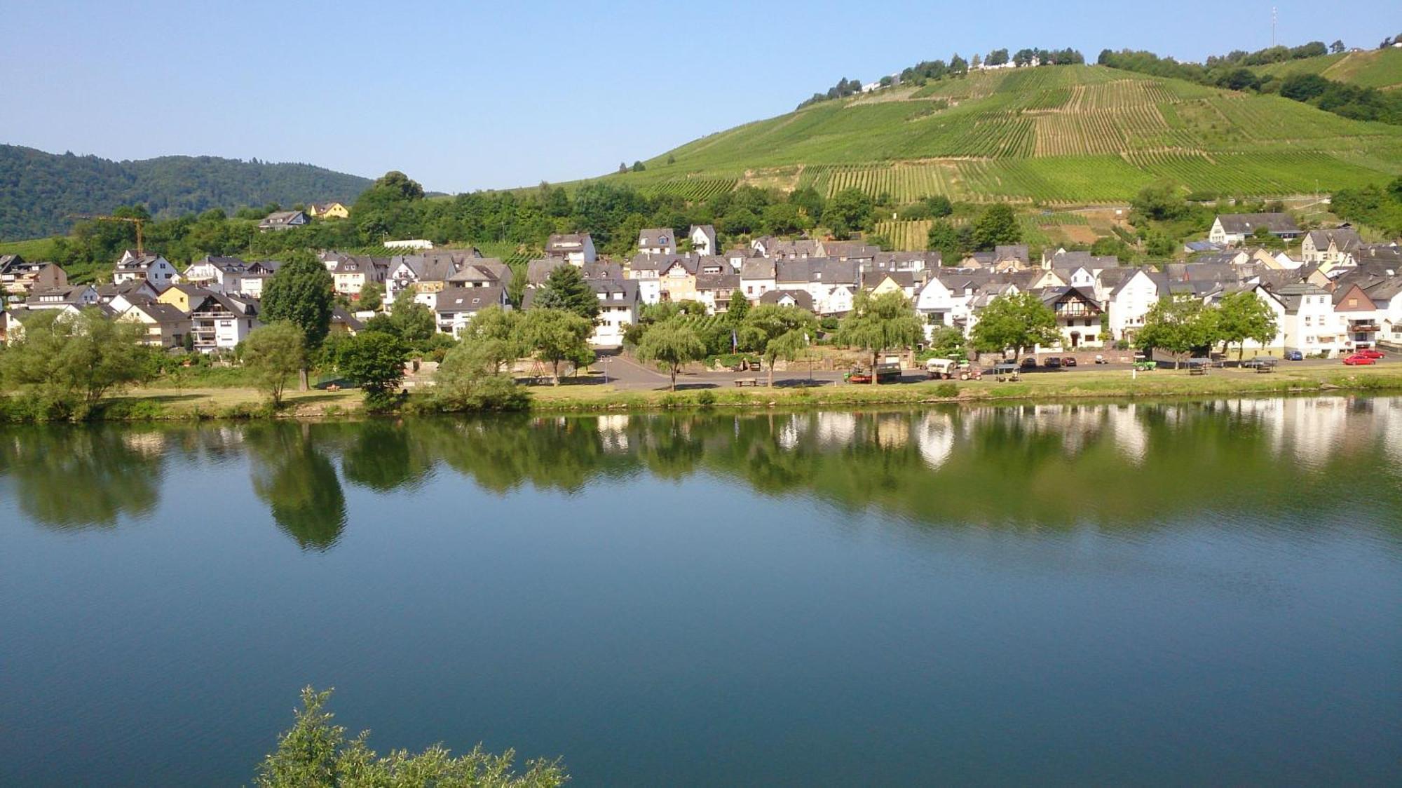 Mosel View Apartment เซลล์อันแดร์โมเซล ห้อง รูปภาพ